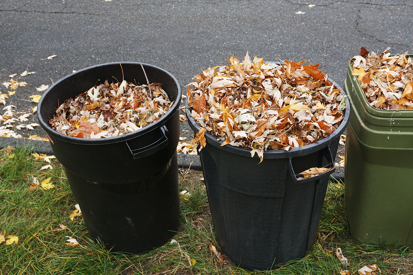 Yard Waste City of Glencoe
